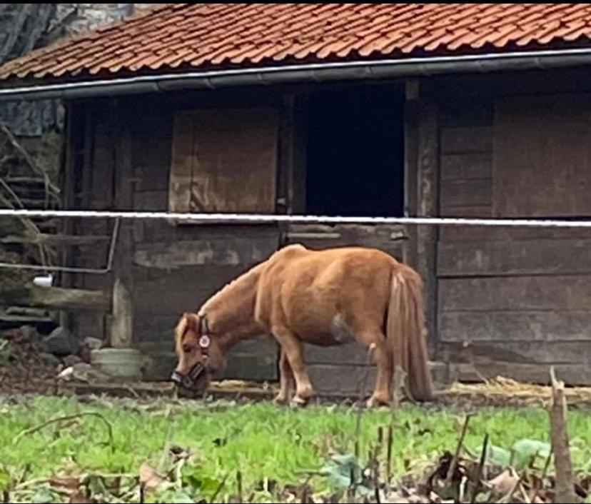 Вилла Le Ranch Des Aguesses Andenne Экстерьер фото