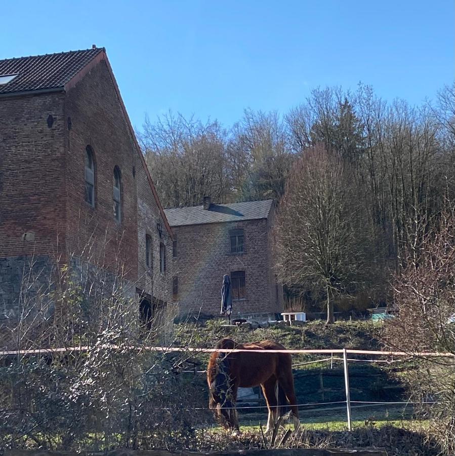 Вилла Le Ranch Des Aguesses Andenne Экстерьер фото