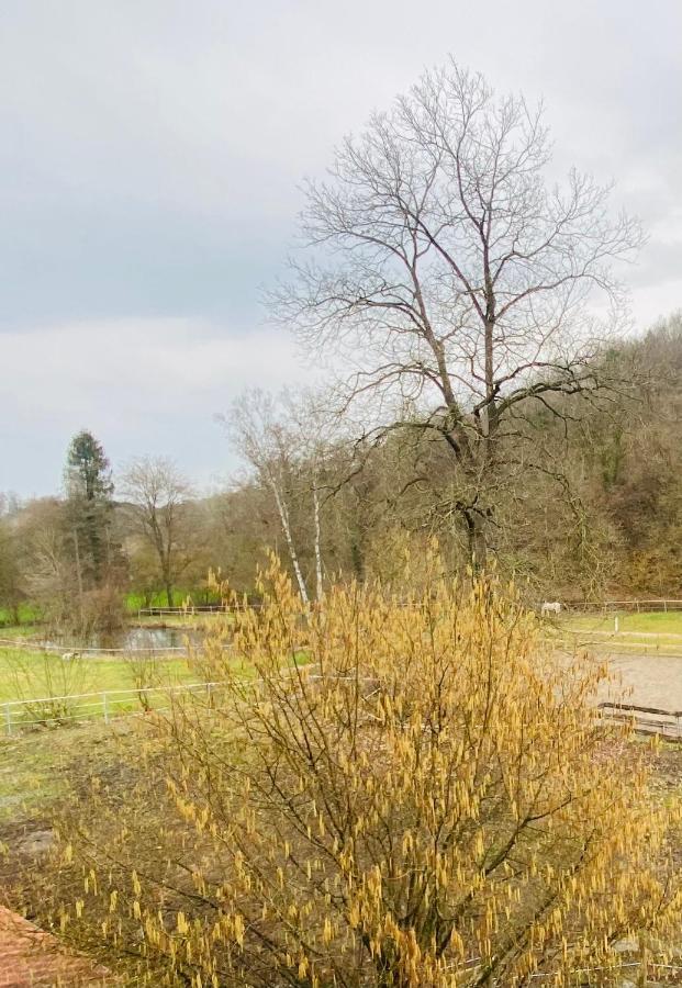 Вилла Le Ranch Des Aguesses Andenne Экстерьер фото