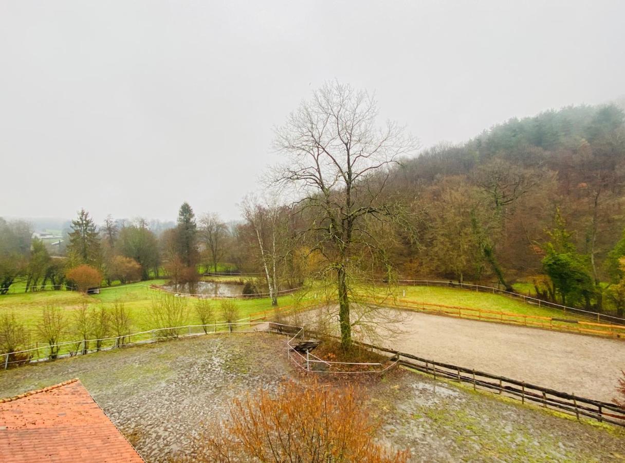 Вилла Le Ranch Des Aguesses Andenne Экстерьер фото