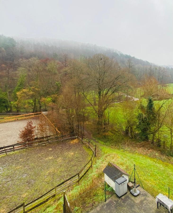 Вилла Le Ranch Des Aguesses Andenne Экстерьер фото